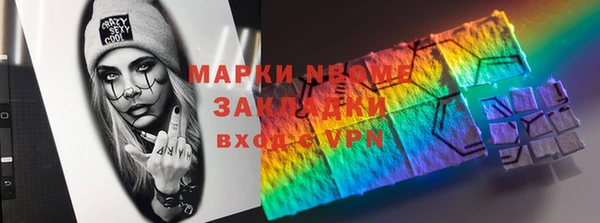 стаф Аркадак