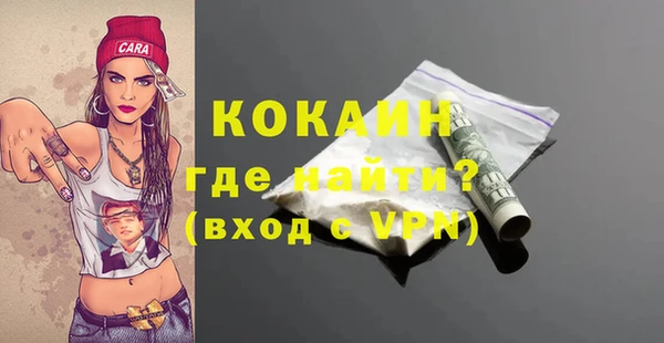 стаф Аркадак