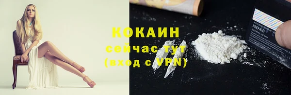 стаф Аркадак