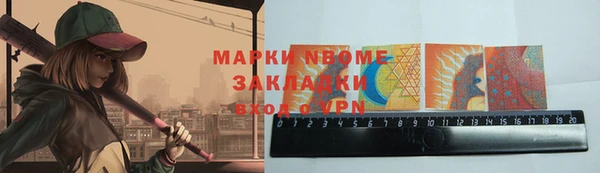 стаф Аркадак