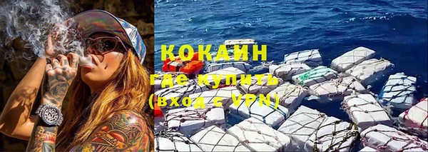 стаф Аркадак
