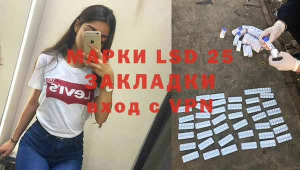 стаф Аркадак