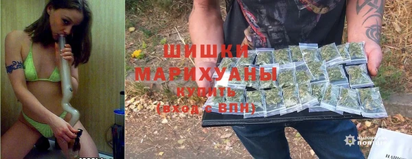 амф Арсеньев