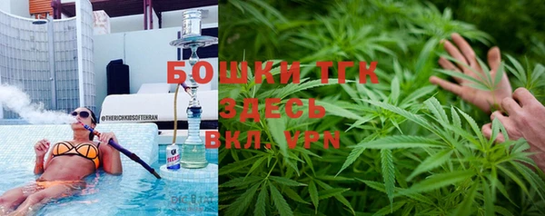стаф Аркадак