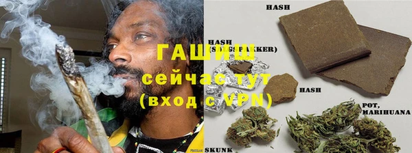 стаф Аркадак