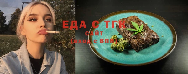 стаф Аркадак